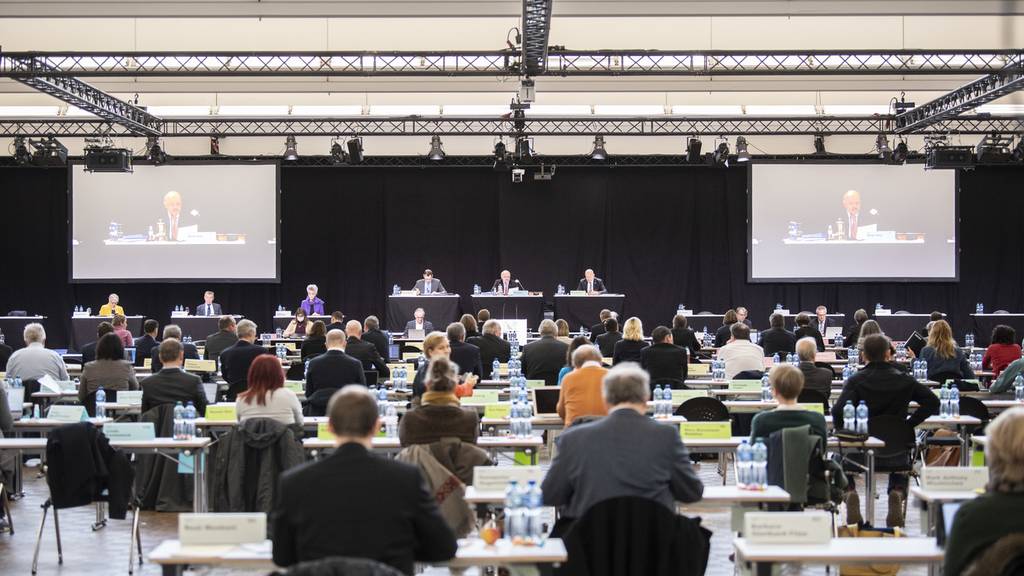 «Kot-Vorfall» befeuert Debatte um Sitzungsort des Kantonsrats