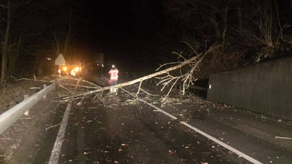 Im Kanton Baselland wurden mehrere Strassen durch entwurzelte Baum blockiert. In Pfeffingen BL stürzte ein Baum auf ein Auto. Dessen Lenker blieb unverletzt. (Bild: Polizei Basel-Landschaft)