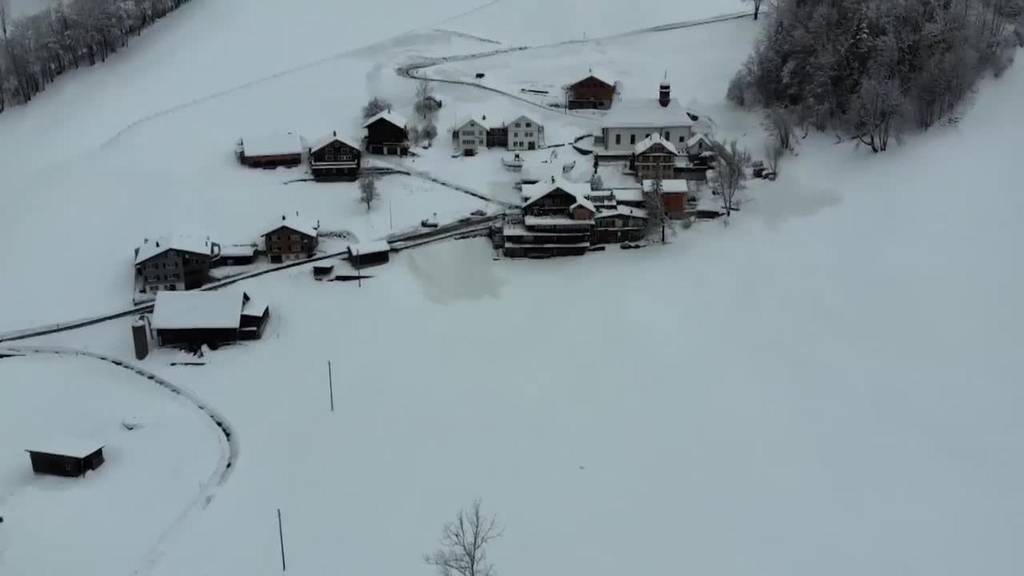 Alltag Schnee: Im Schnee und Schattenloch