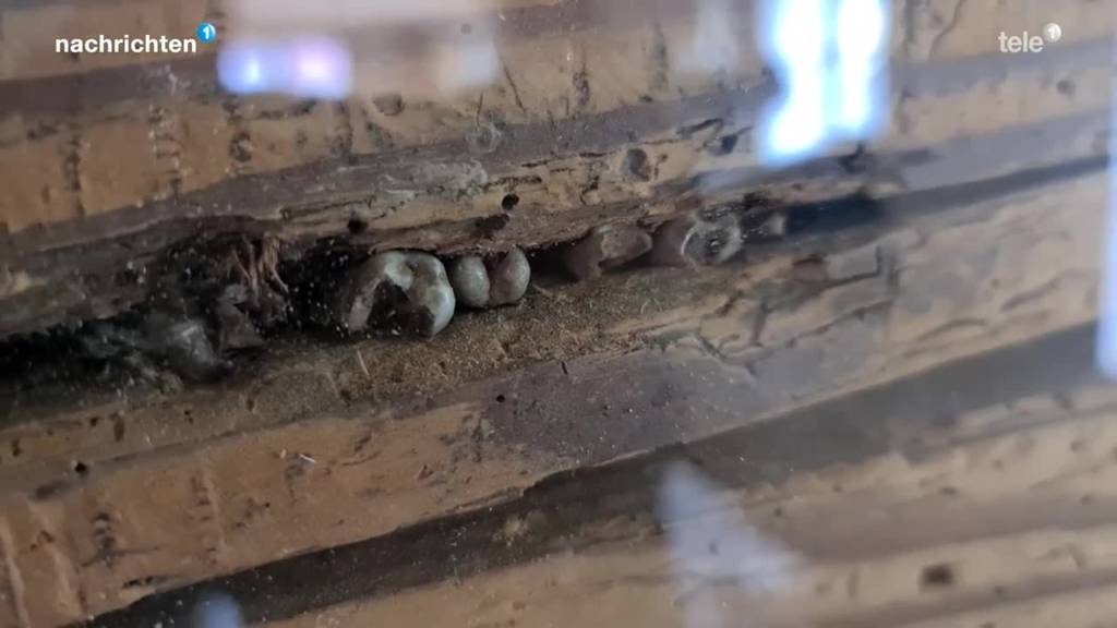 Ältestes Bauernhaus im Kanton Luzern