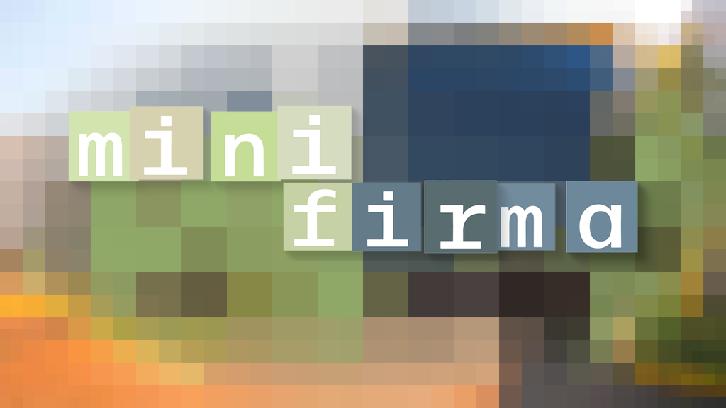 Mini Firma