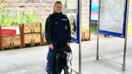 Stadtpolizei findet beim Hundetraining vermisstes Büsi