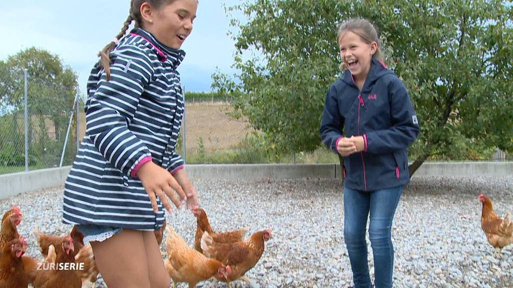 Teil 1: Ausflug auf den Bauernhof