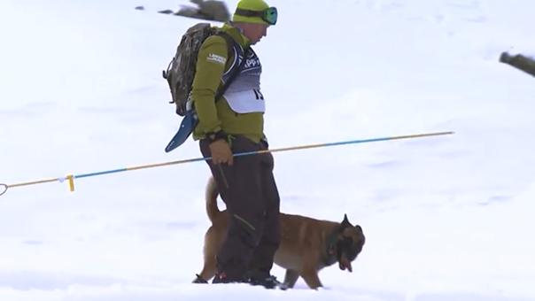 Schweizermeisterschaft der Lawinenhunde auf der Elsigenalp bei Frutigen.