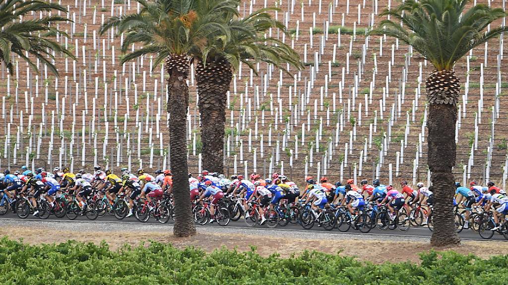 Die Tour Down Under bildete den Auftakt in die World-Tour-Saison der Radprofis