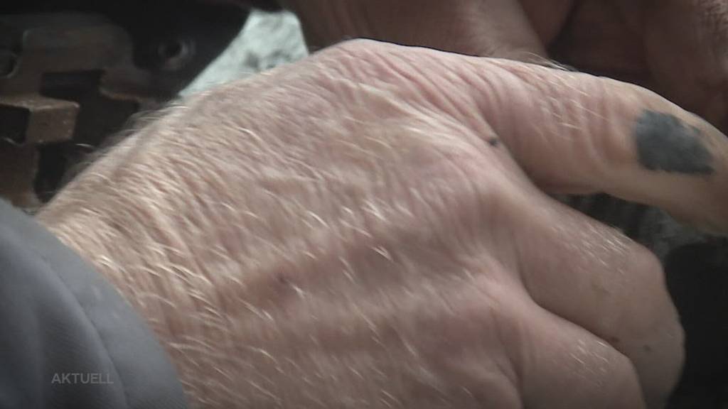 Betrug: Ein Garagist soll Autos von seinen Kunden ohne deren Wissen weiterverkauft haben