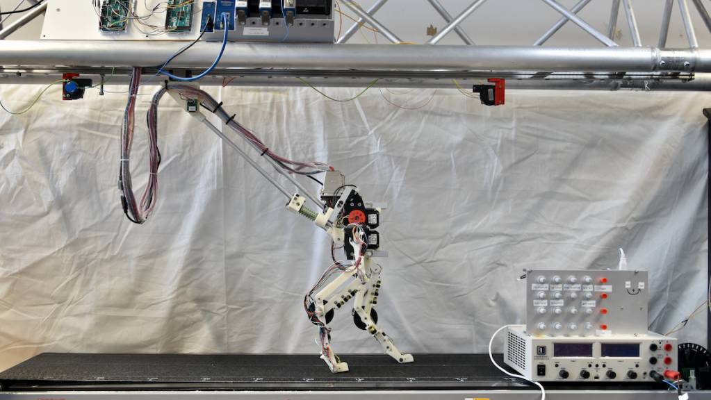Der Laufroboter «BirdBot» stellte seine Fähigkeit auf dem Laufband unter Beweis.