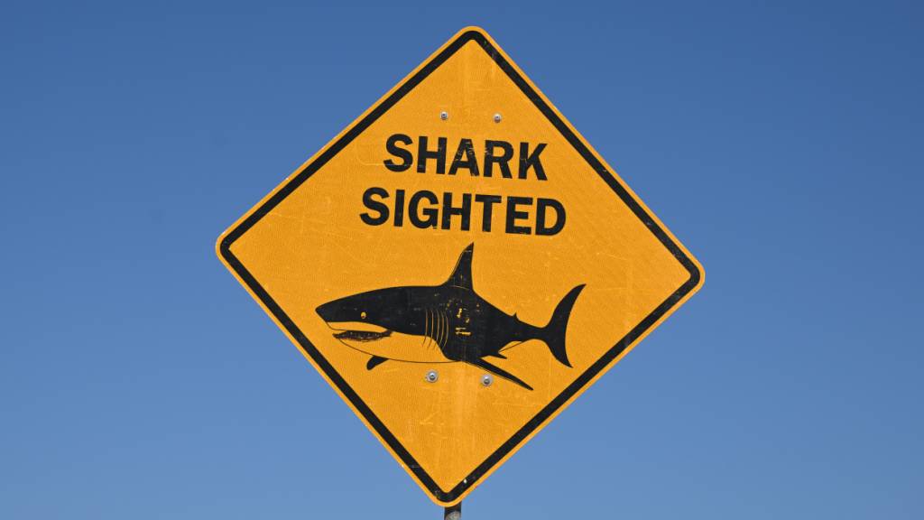 ARCHIV - Ein Schild warnt vor Haien an einem Strand in Australien. Foto: Dean Lewins/AAP/dpa/Archivbild