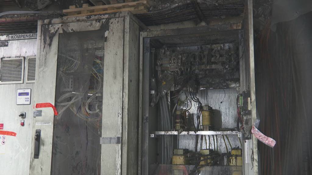 Nach Brand bei Frifag in Märwil – Poulet-Produktion läuft wieder auf Hochtouren