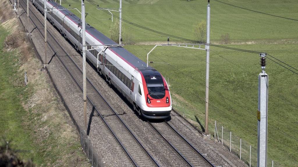 Zwischen Frauenfeld und Weinfelden fallen die Züge aus. (Symbolbild)