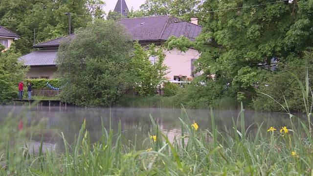 Natur statt Bar am Egelsee