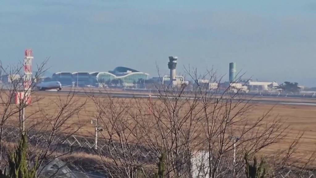 Bei Flugzeugabsturz sterben 179 Menschen
