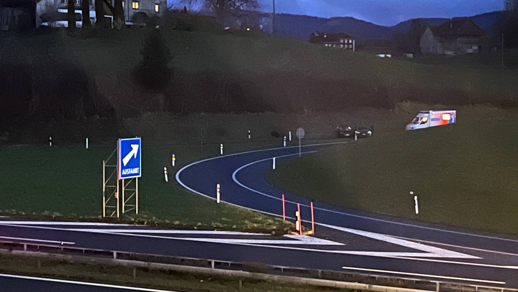 Unfall Autobahneinfahrt Wädenswil (3)