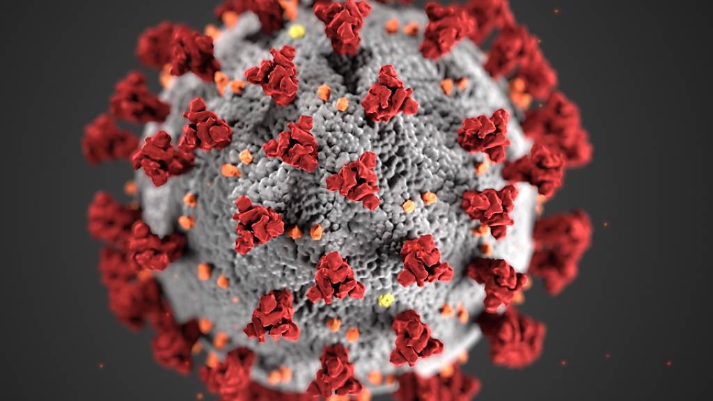 Innerhalb eines Tages haben sich in der Schweiz 36 Menschen neu mit dem Coronavirus infiziert.
