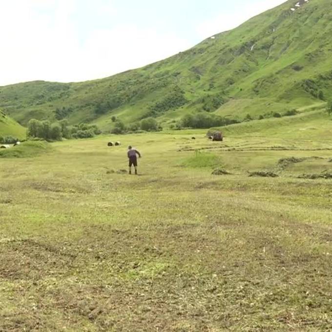 Uri erteilt Abschussbewilligung: «Die Jagd hat bereits begonnen»