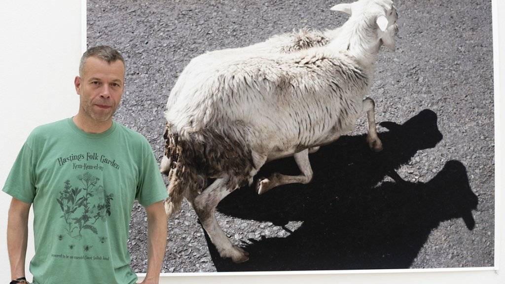 Wolfgang Tillmans vor seinem «Sheep Shadow»: Am Sonntag, 28. Mai, eröffnet in der Fondation Beyeler die Ausstellung des deutschen Fotografen.