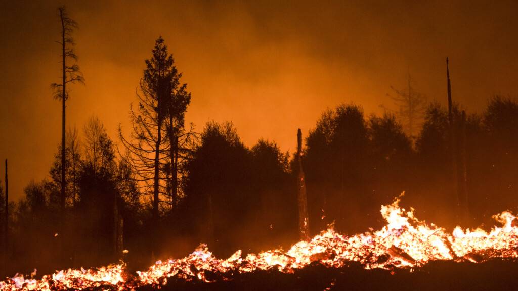 Flammen lodern in einem Waldstück der Saalfelder Höhe. Wegen des Waldbrands im Landkreis Saalfeld-Rudolstadt wurde Katastrophenalarm ausgelöst. Starke Winde hätten ein Feuer am Nachmittag angefacht, sagte ein Sprecher des Landkreises. +++ dpa-Bildfunk +++