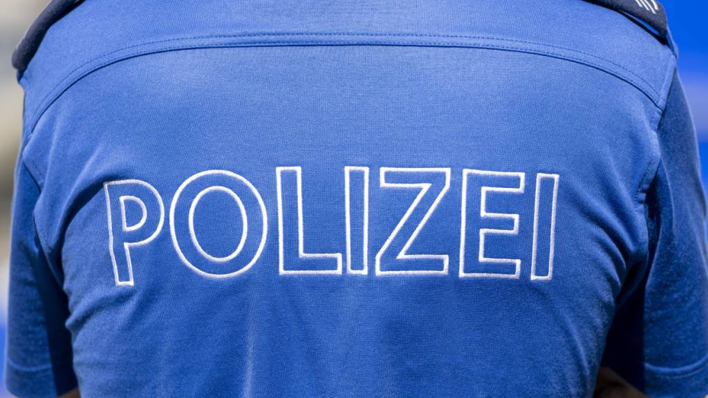 Die Luzerner Polizei fasste in Littau LU drei mutmassliche Einbrecher. (Symbolbild)