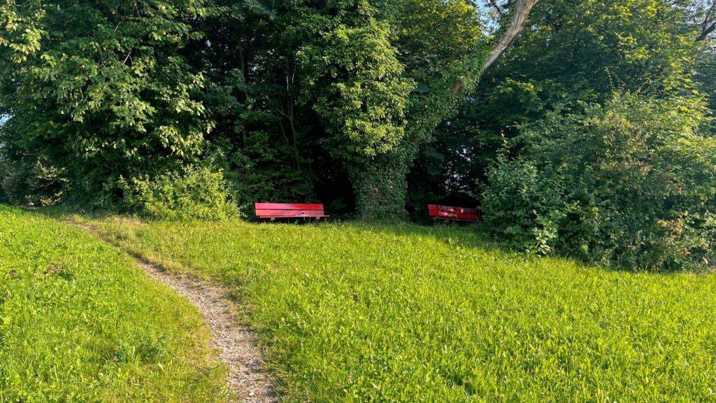 Junger Mann will Internet-Bekanntschaft treffen und wird attackiert