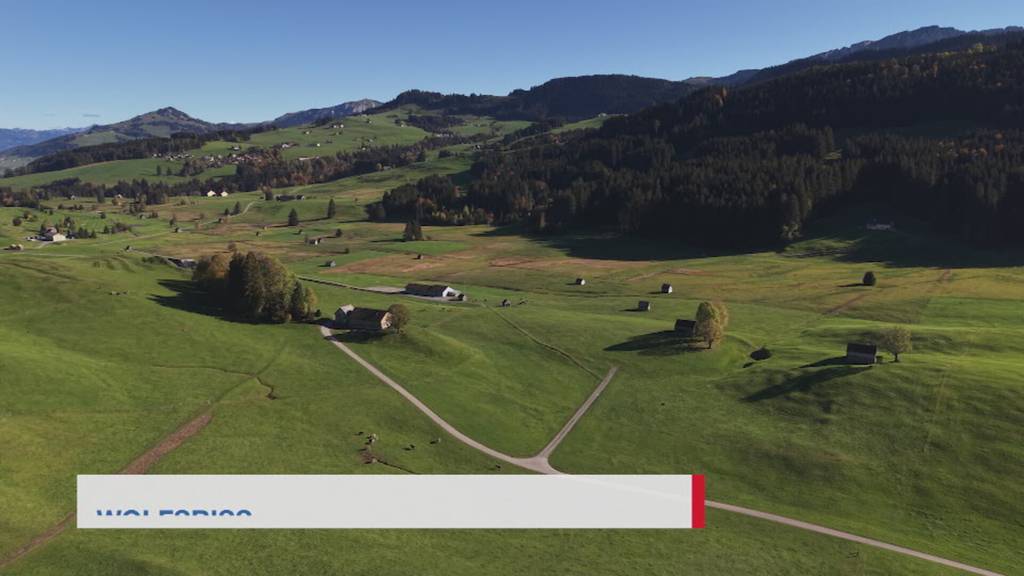 Kurznachrichten