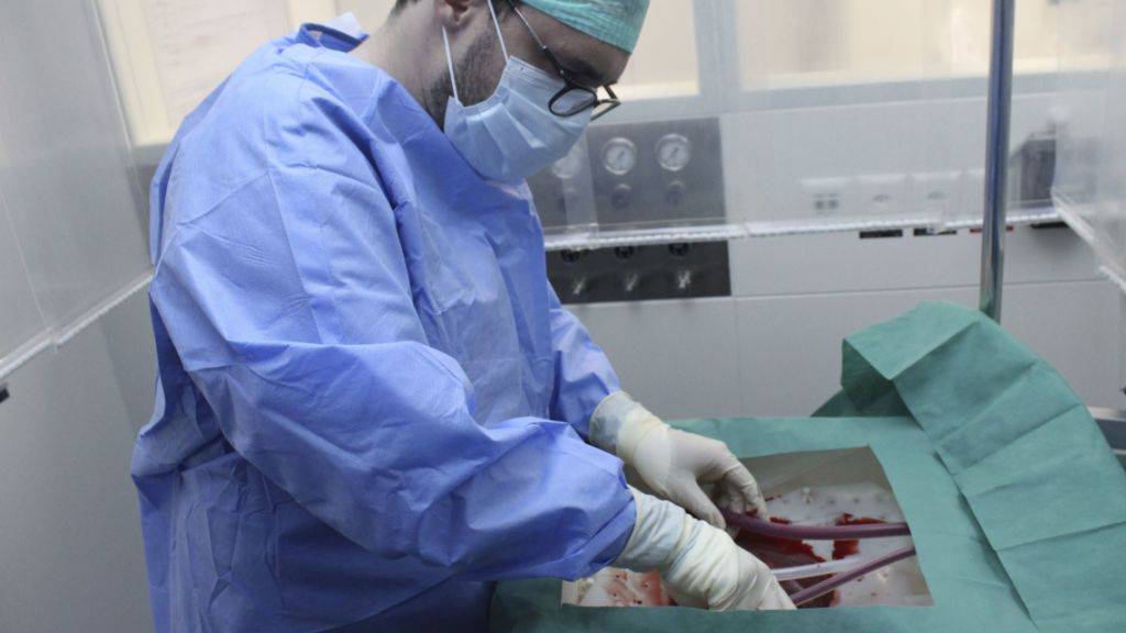 Ein Chirurg schliesst eine Leber an die neue Perfusionsmaschine an, die sie eine Woche am Leben erhalten kann.