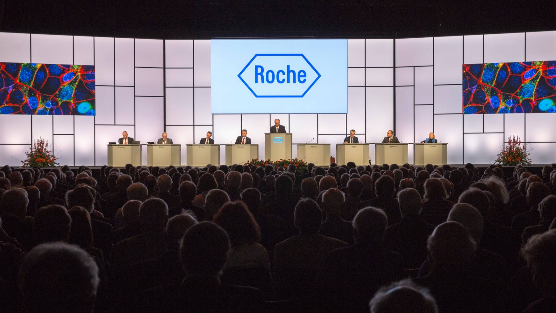 Einblick in die Roche-GV von 2014.