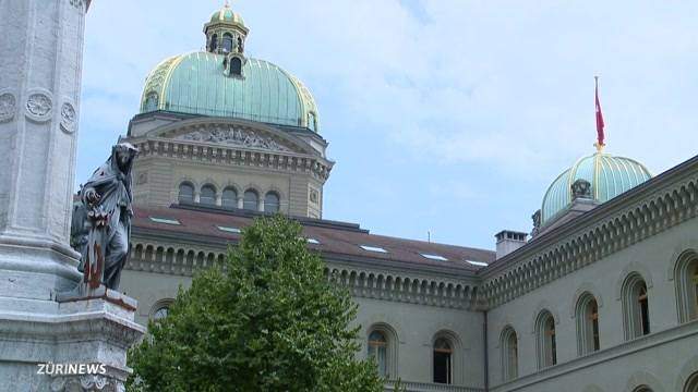 Steinerner Wahlkampf für Grüne