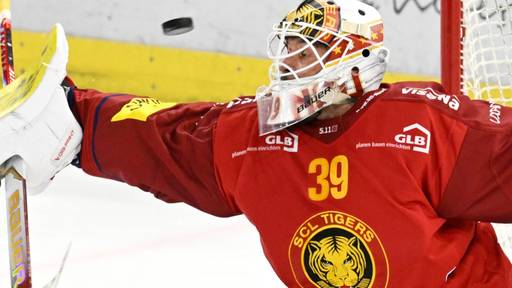 SCL Tigers weiter im Hoch