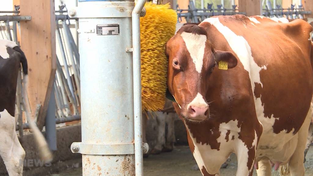 Risiko-basiertes Kontrollsystem für Landwirtschaftsbetriebe