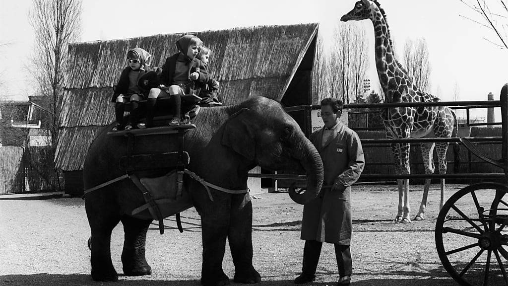 Bereits 1962 konnten Kinder im Knies Kinderzoo auf Elefanten reiten. (Archivbild)