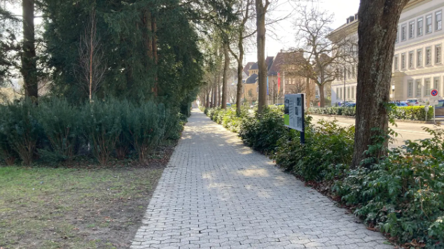 Verbundsteinweg Kurpark Baden