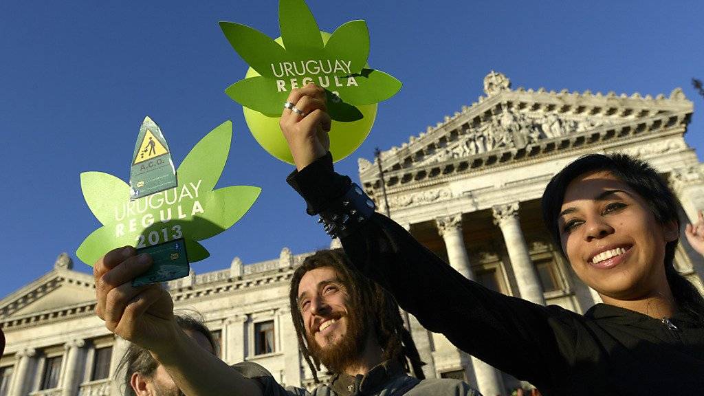 In Uruguay gibt es nun Marihuana ganz legal in Apotheken zu kaufen. (Archivbild)
