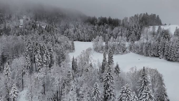 Neuschnee sorgt für späten Winterzauber im Zürcher Oberland