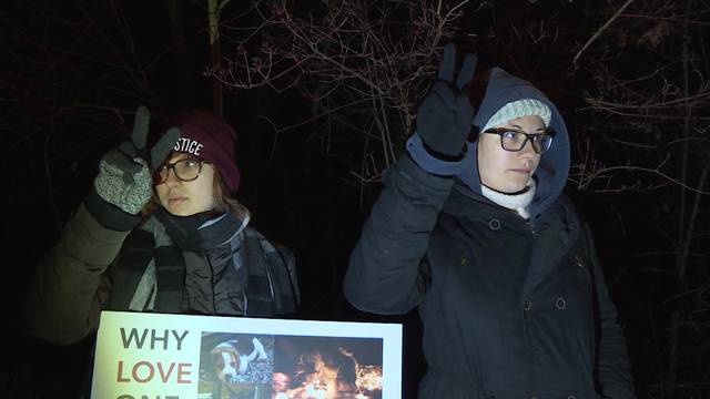 Tierschutz-Demo in Thun: Friedlich immer noch zu teuer?