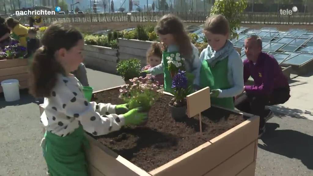 Kinder als Gärtner in Sarnen