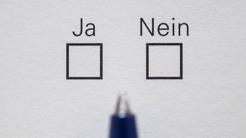 Der Zürcher Regierungsrat soll sich mit Wahl- und Abstimmungsmanipulation unter anderem durch KI befassen. (Symbolbild)
