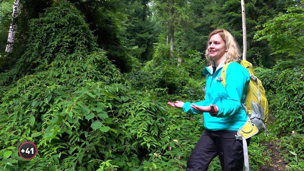 Waldmenschen: Kampf gegen Exoten