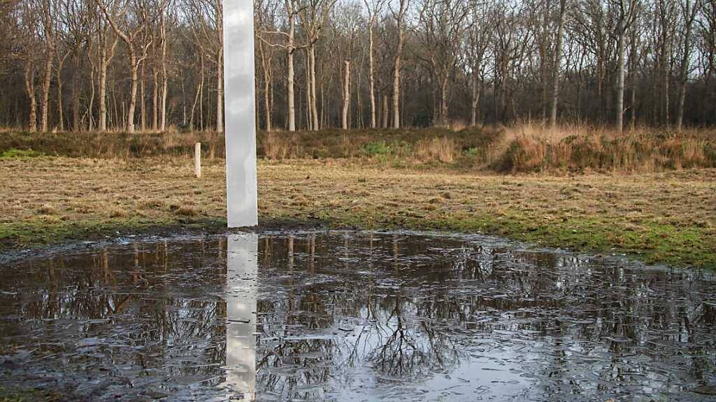 Ein Monolith steht im Naturgebiet De Kiekenberg im Norden der Niederlande. Spaziergänger hatten die Metall-Säule im Naturgebiet De Kiekenberg bei Oudehorne in der nördlichen Provinz Friesland am Sonntagmorgen (06.12.2020) entdeckt. Am selben Abend bereits war sie wieder verschwunden. Spurlos. Foto: Anton Kappers - Thomasson/ANP/dpa