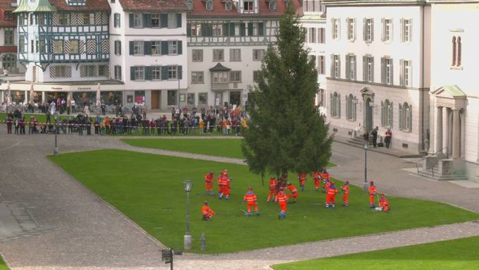Alle Jahre wieder: Der Christbaum ist auf dem Klosterplatz gelandet