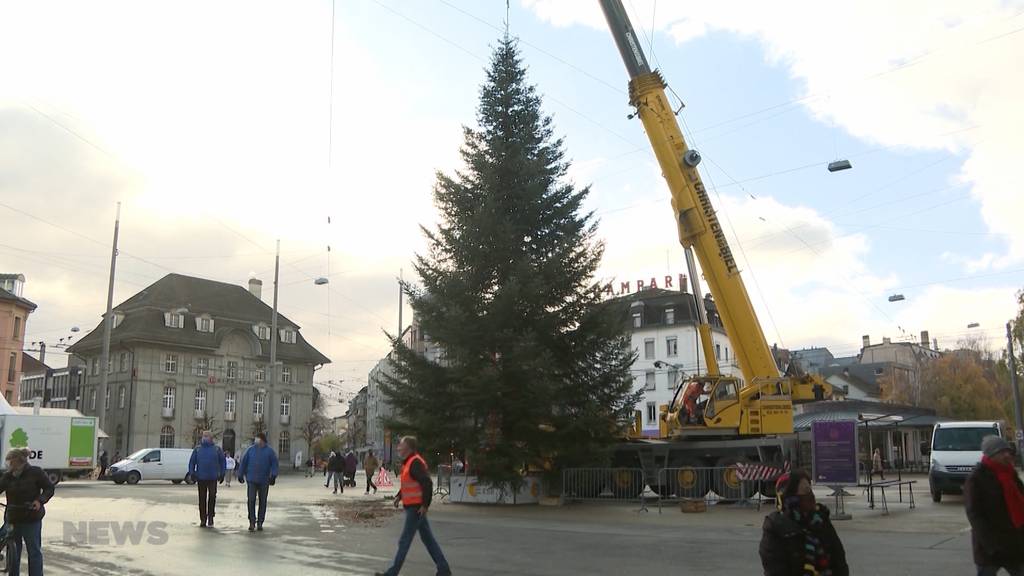 Bieler Weihnachtsbaum: So verlief der Transport aus dem Wald in die Stadt