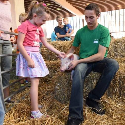 Bewegung, Bauernhof und Bibliothek: Das ist am Samstag im Aargau los