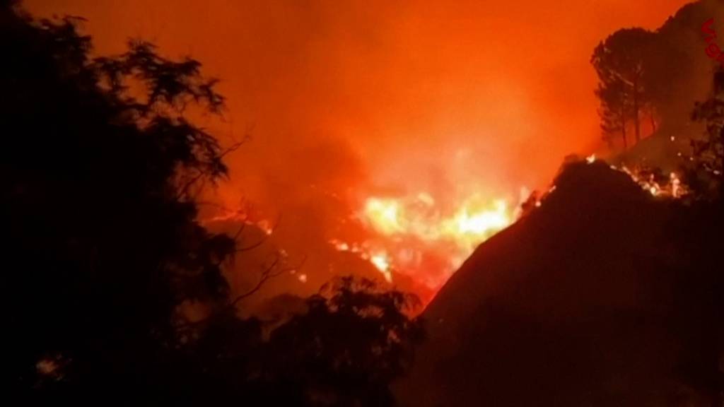 Vier Menschen sterben bei Waldbränden in Süditalien