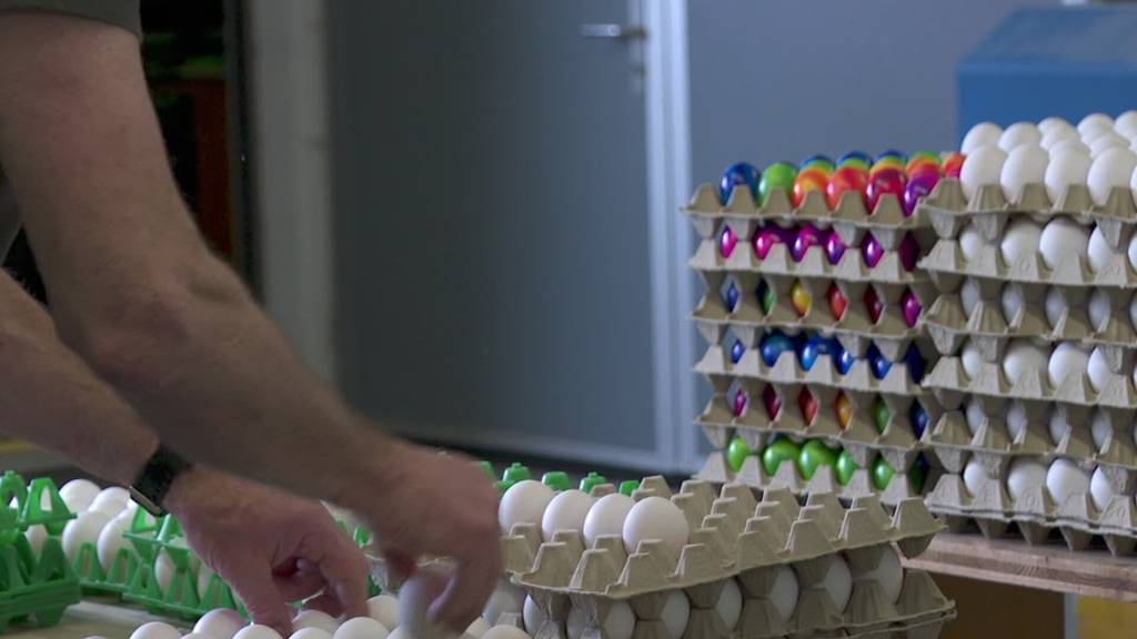 Eier fehlen: Der Bund erhöht die Importe deutlich - was bedeutet das für regionale Produzenten?