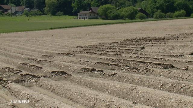 Bauern leiden unter Wassermassen