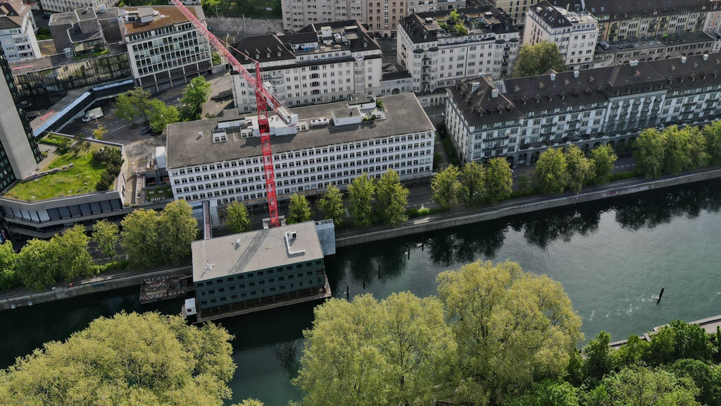 Wegen Bauarbeiten bei Rettungswache müssen 63 Kastanien weg