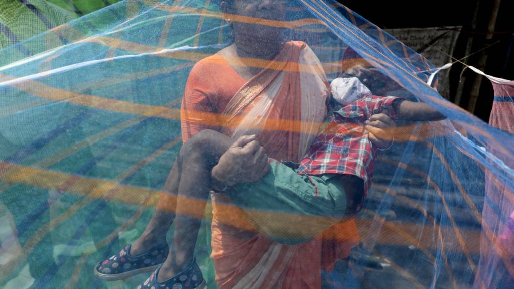 Malaria ist in vielen Regionen ein grosses Problem. (Symbolbild)