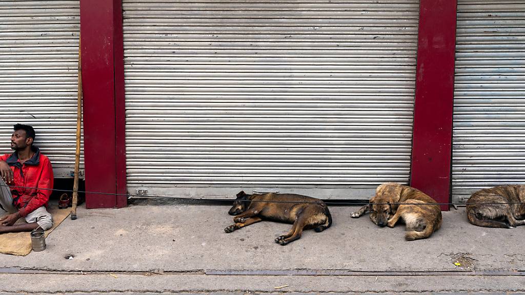 Ein Bettler sitzt neben schlafenden Straßenhunden vor geschlossenem Geschäften.