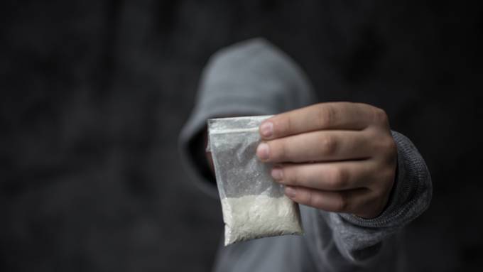 Über neun Kilogramm Kokain in Lenzburg AG sichergestellt