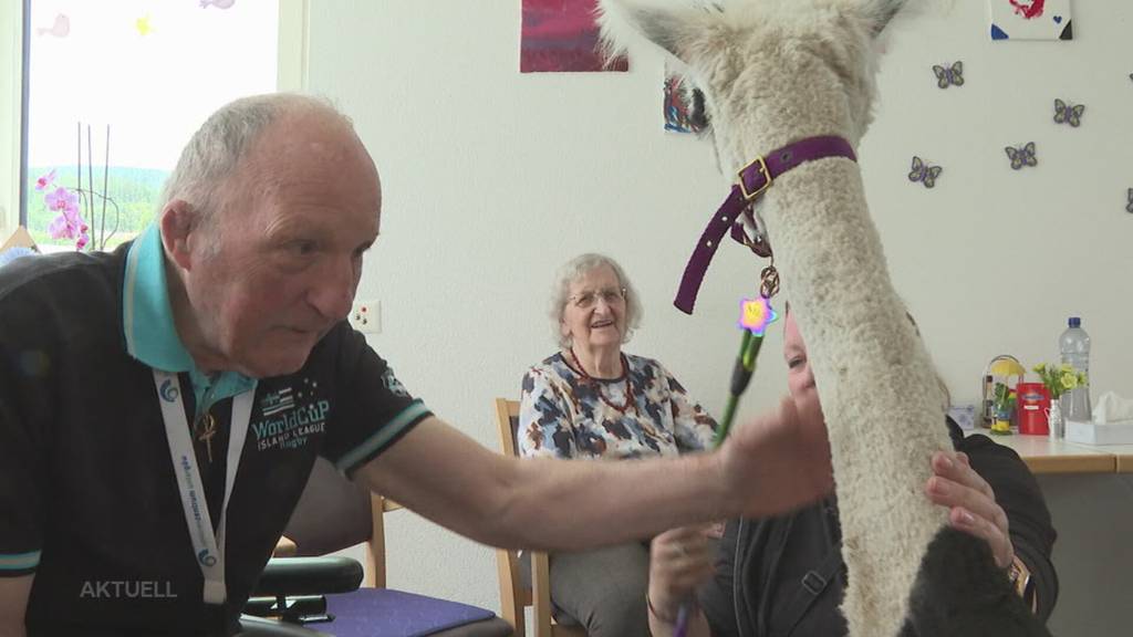 Lamas im Altersheim: Bewohner in Hägendorf freuen sich über aussergewöhnleichen Besuch