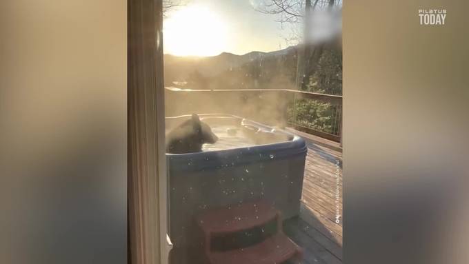 Bär geniesst ein entspanntes Bad im Whirl­pool eines Pärchens